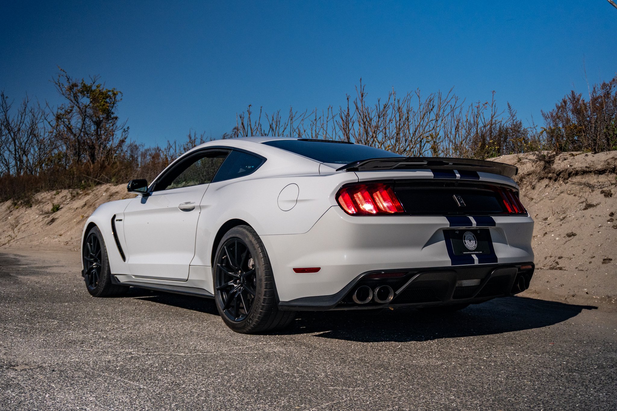 2016 Shelby GT350-111.jpg