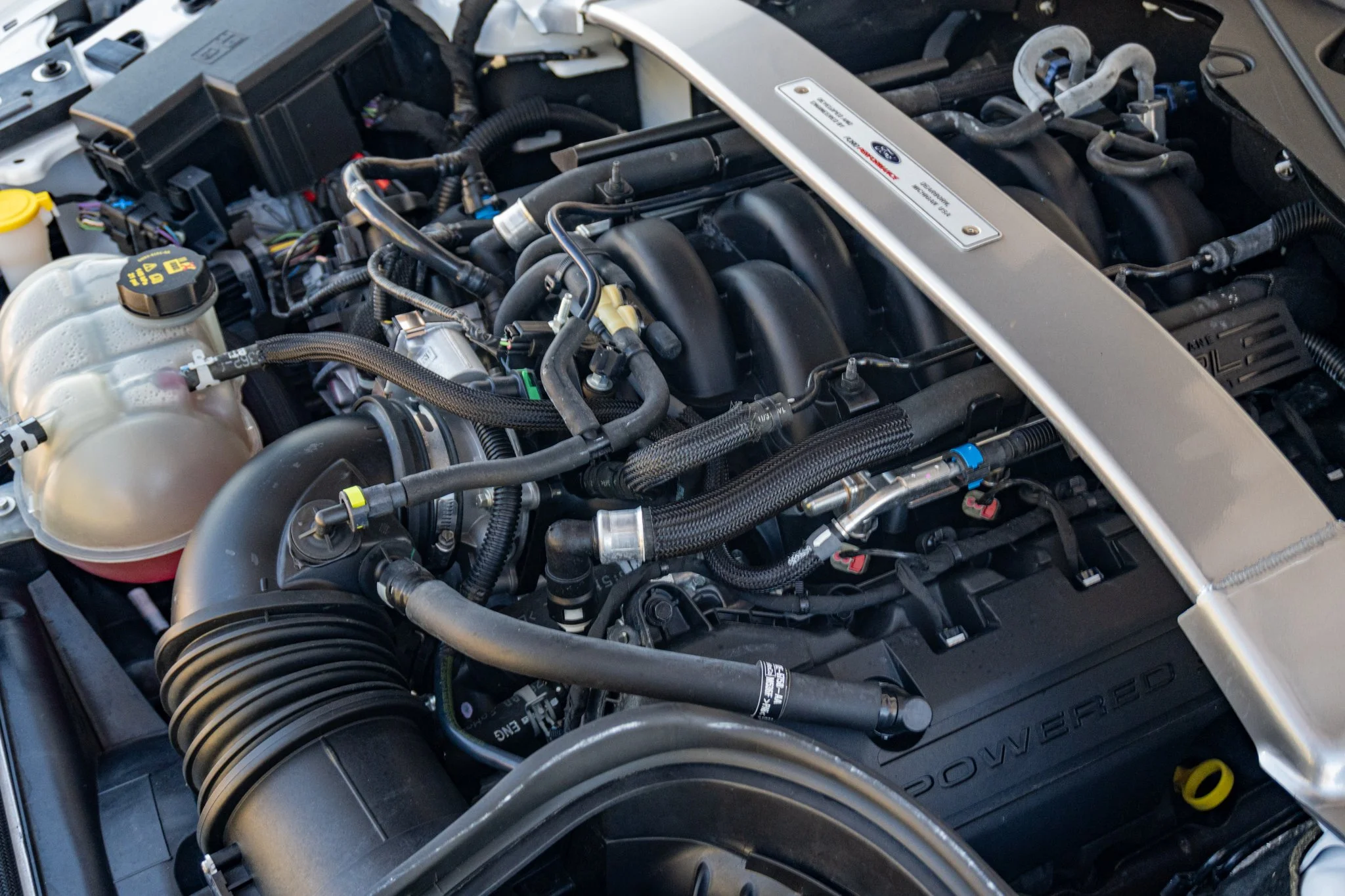 2016 Shelby GT350-076.jpg