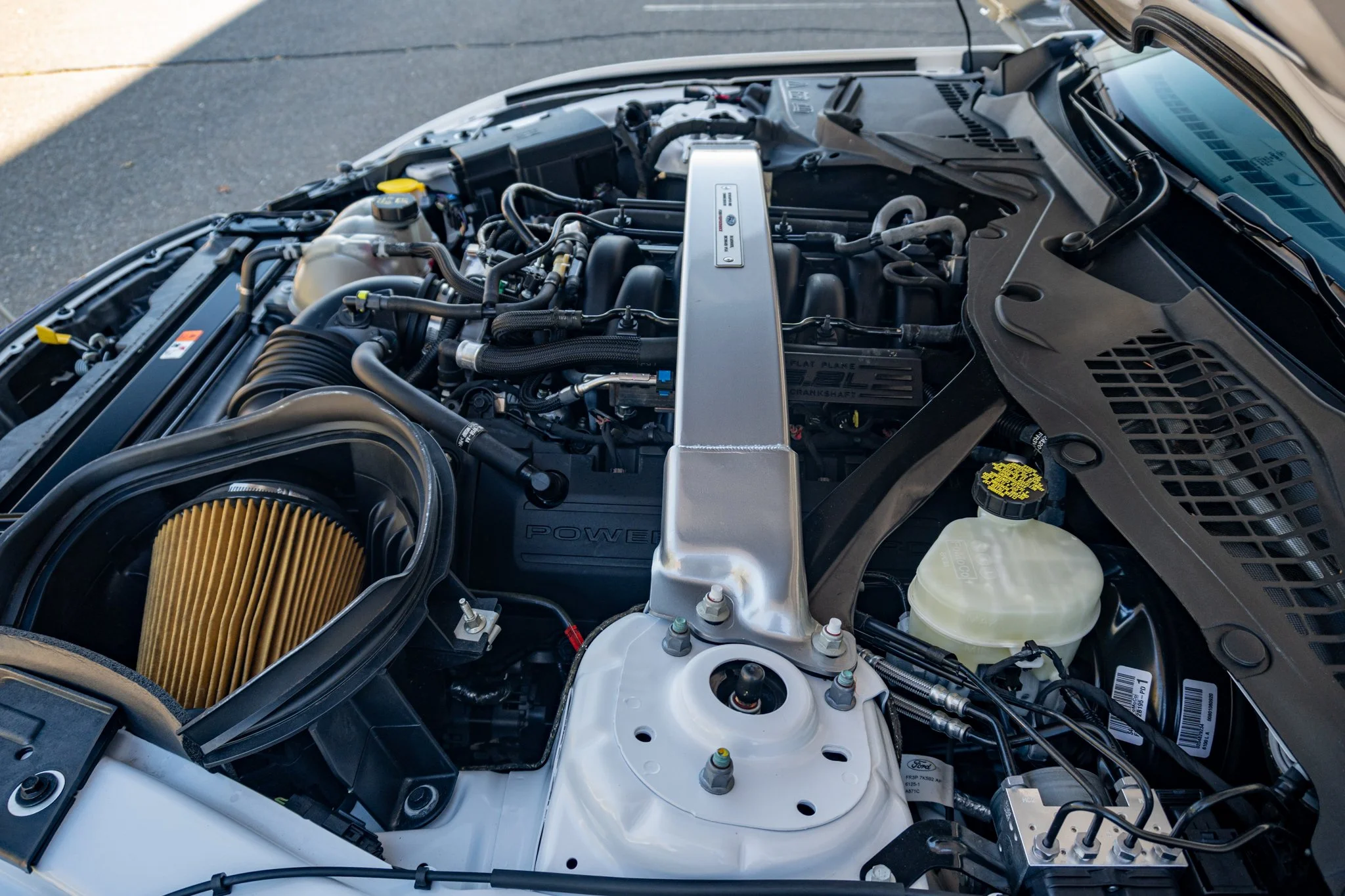 2016 Shelby GT350-077.jpg