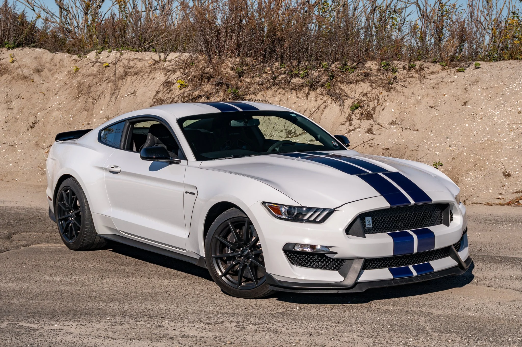 2016 Shelby GT350-138.jpg