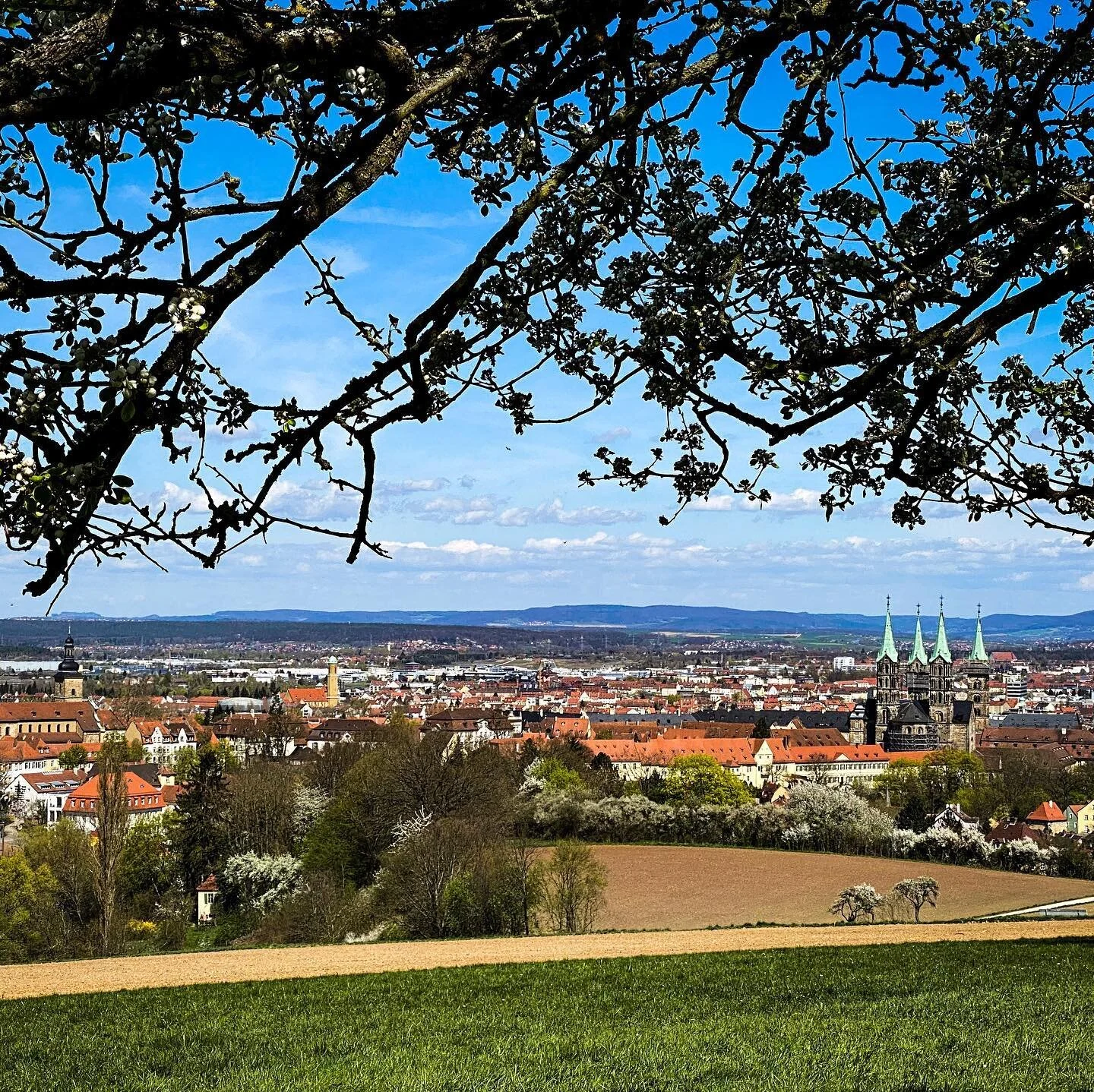 #bamberg #ostern #bamberglieben #bambergmeinestadt #altenburg #froheostern #natur #fotografie