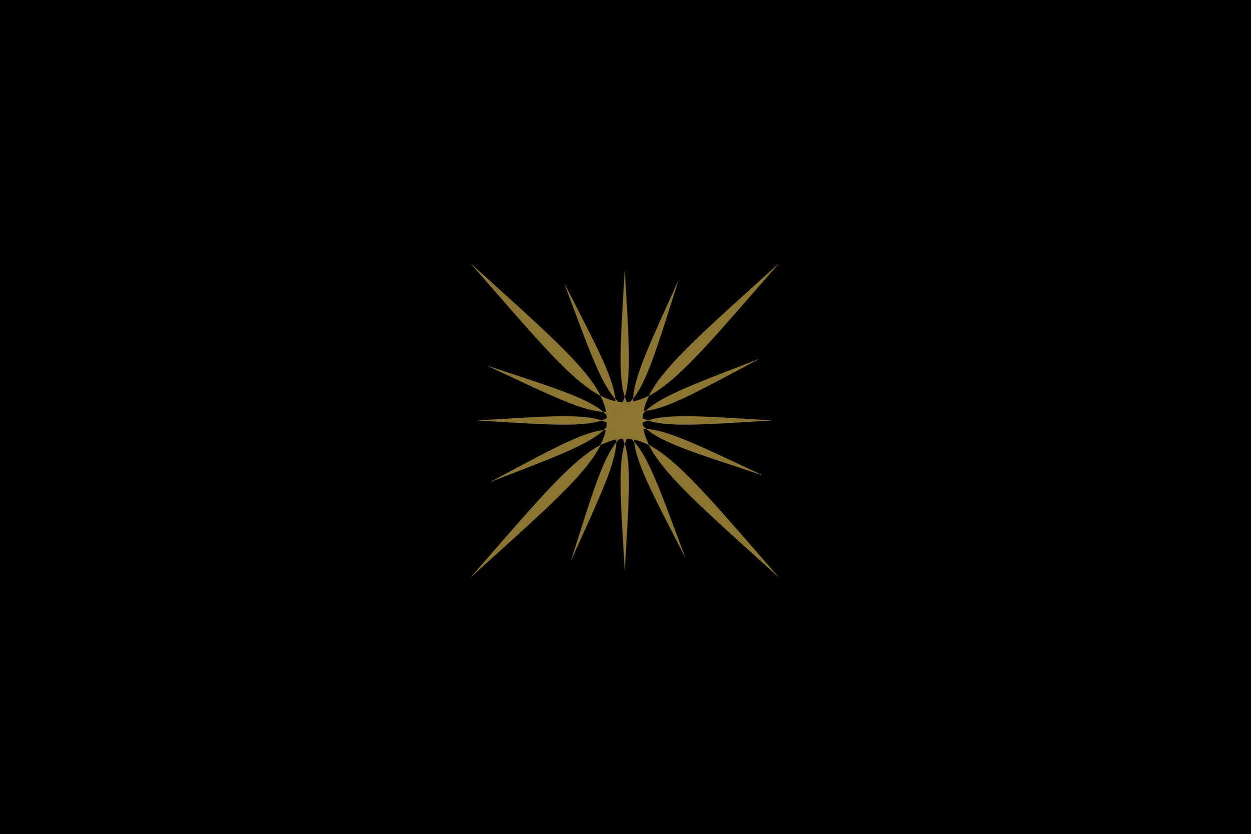 LP_star-black-background-small-slide.jpg