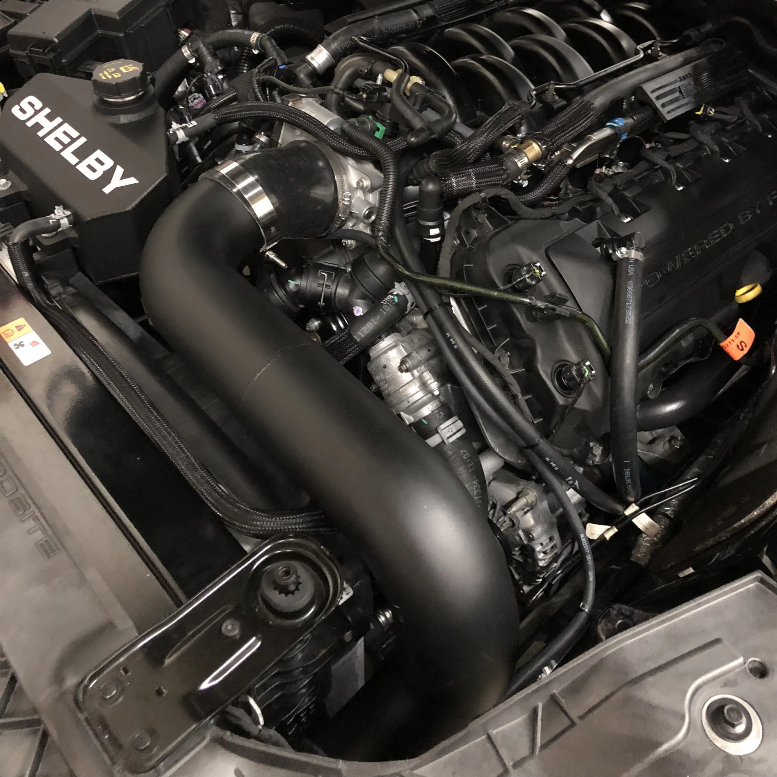 GT-350-SS-14-scaled.jpg