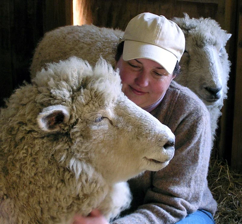  Karyn Belknap is a shepherdess, business owner, homesteader, artisan and instructor and on any given day you’ll see those roles in action in her shop/studio at the Historic Onancock School. ‘Shop Small &amp; Shop Local’ enthusiasts will find one of 