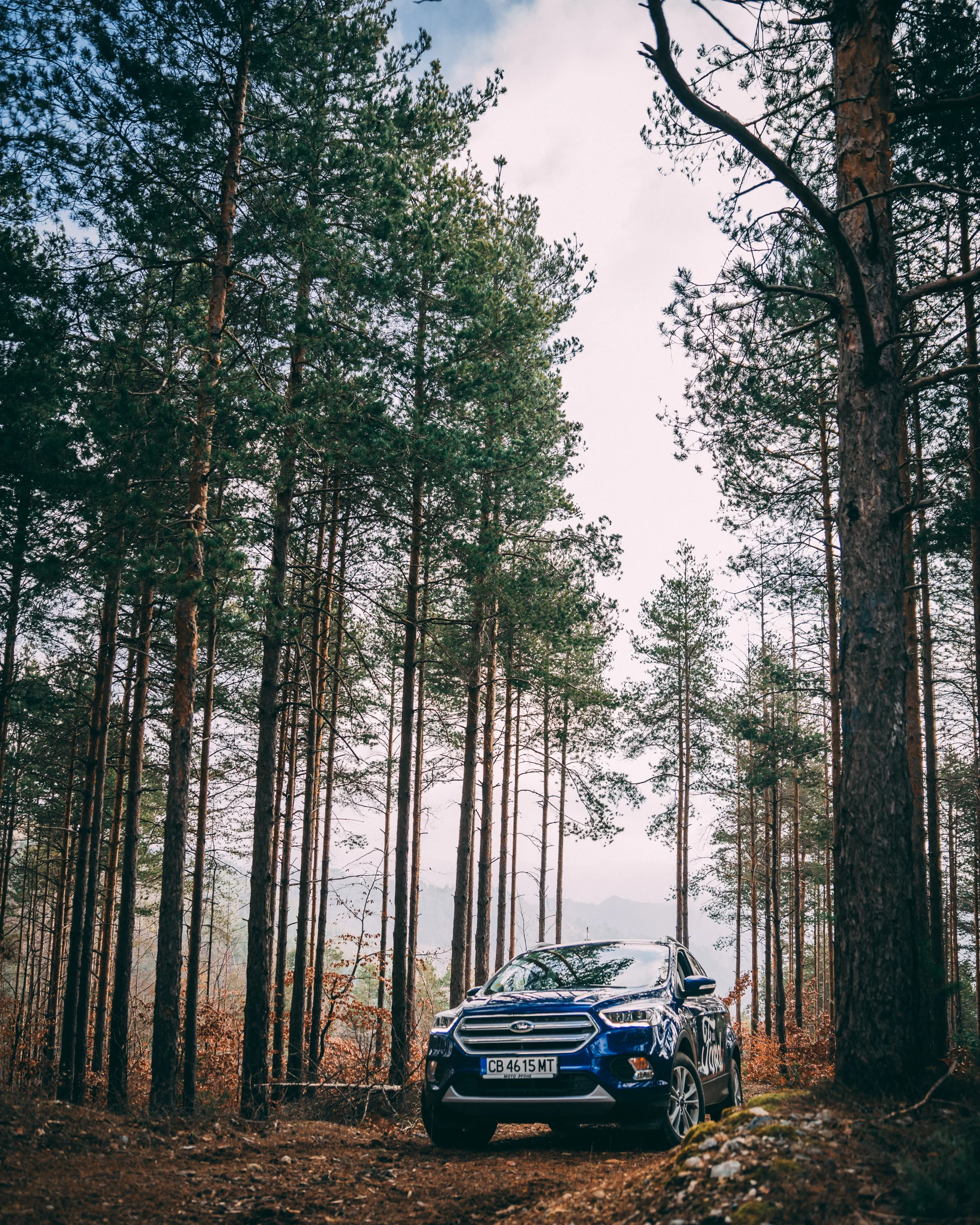 Kuga Through The Forest