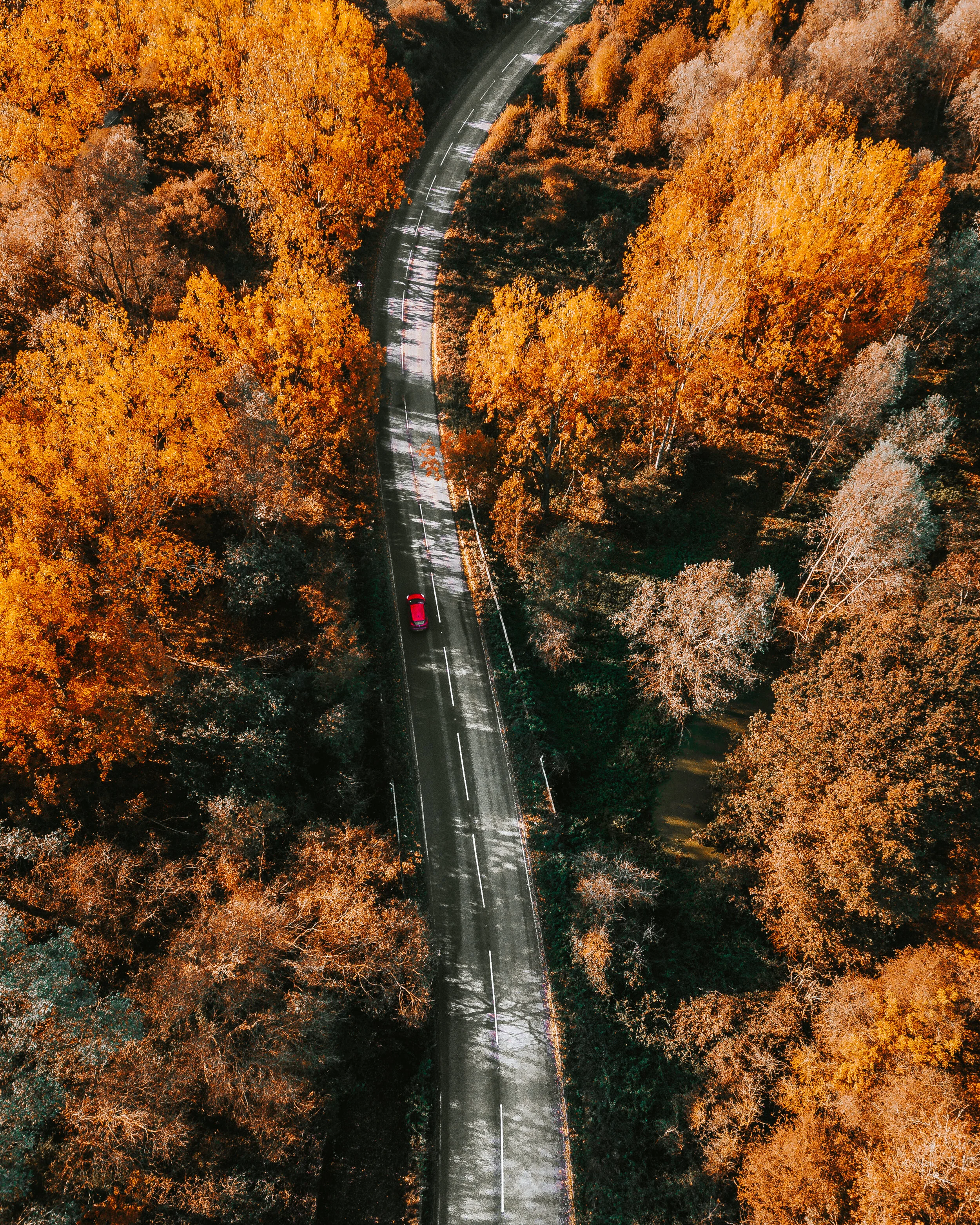 DJI_0068-Edit.jpg