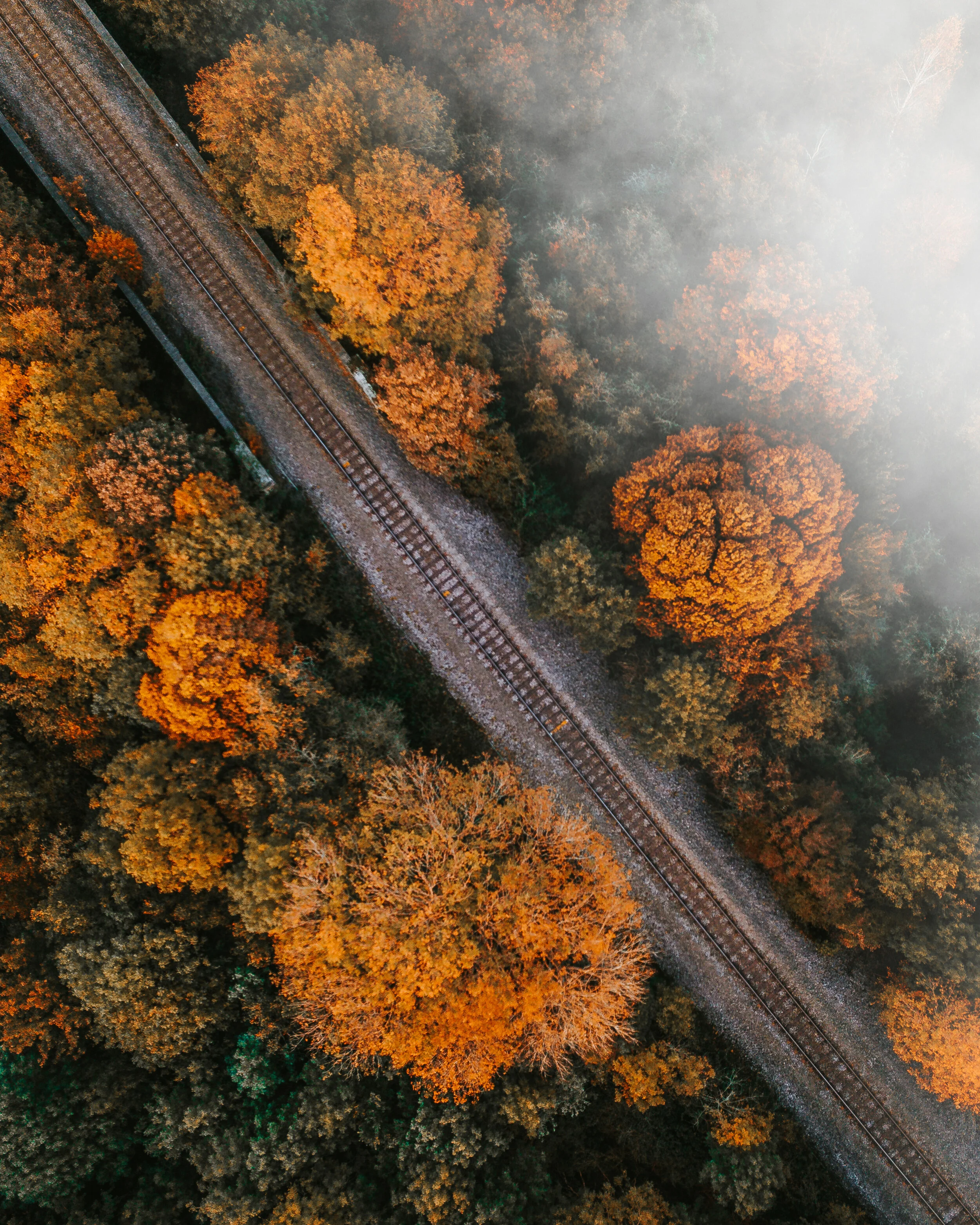 DJI_0032-Edit.jpg