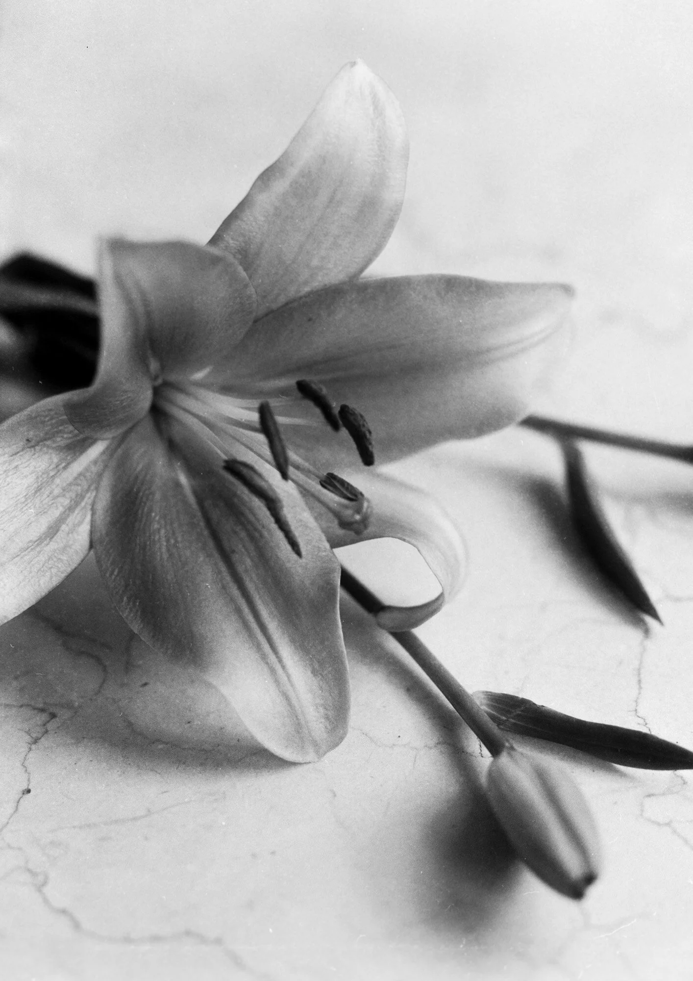 Develop-2_003-Edit.jpg