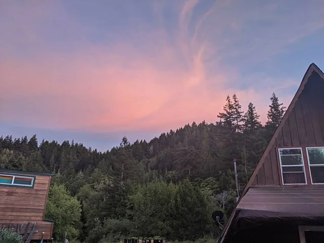 We're still here. We're still queer. We still miss ya. A WHOLE DAMN LOT. Working out the details of what it would look like for folx/groups of folx to rent a cabin/campsite. Tryin to figure out ways to have y'all be here on the land and get this quir