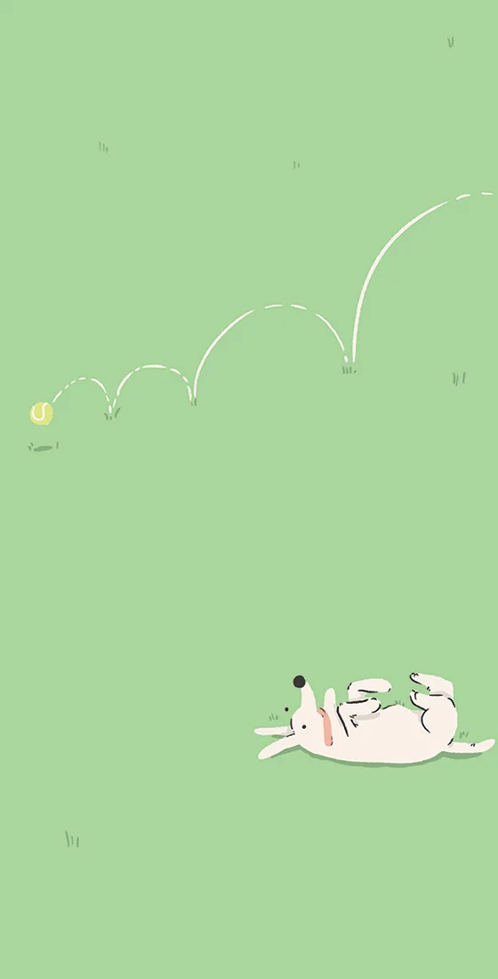 Fetch-1.jpg