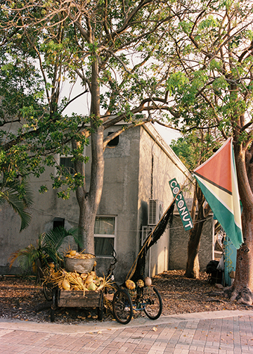 Key West Coconut Cart 