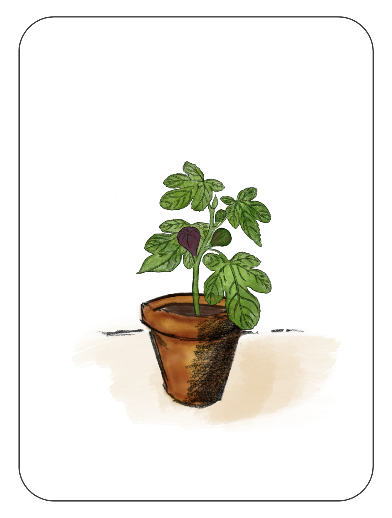 Tesis [Recuperado]-26.png