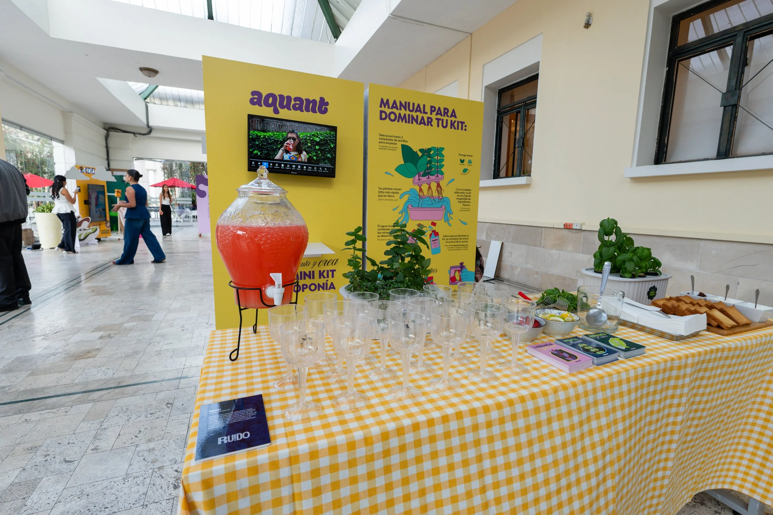 DSC04108.jpg
