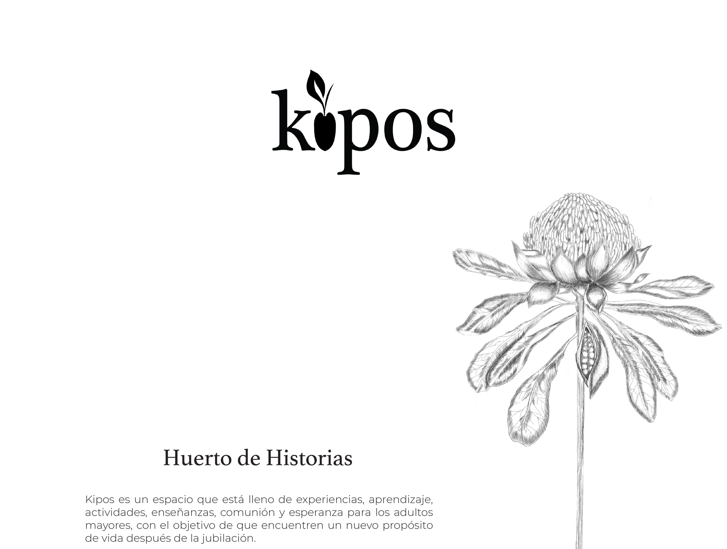 KIPOS Dise o USFQ KIPOS Dise o USFQ