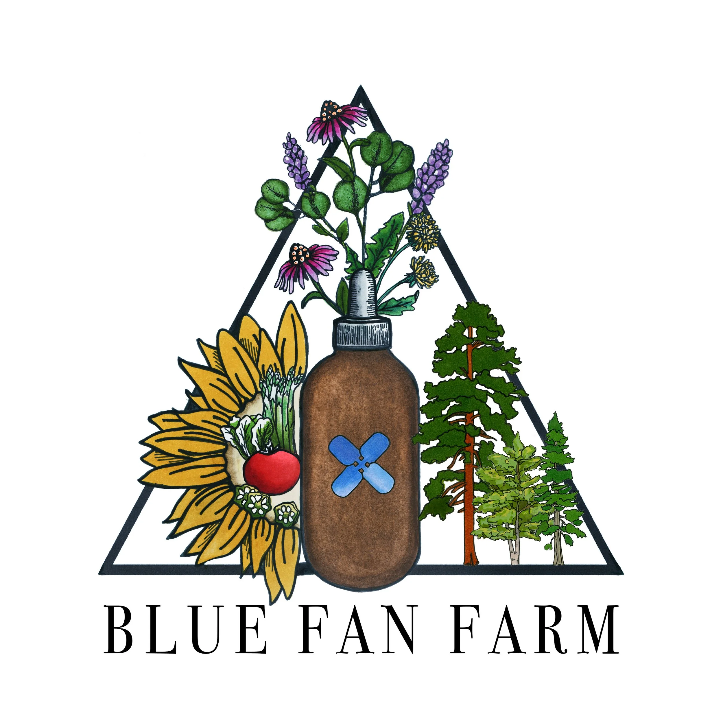 Let's Make Fire Cider and Elderberry Syrup