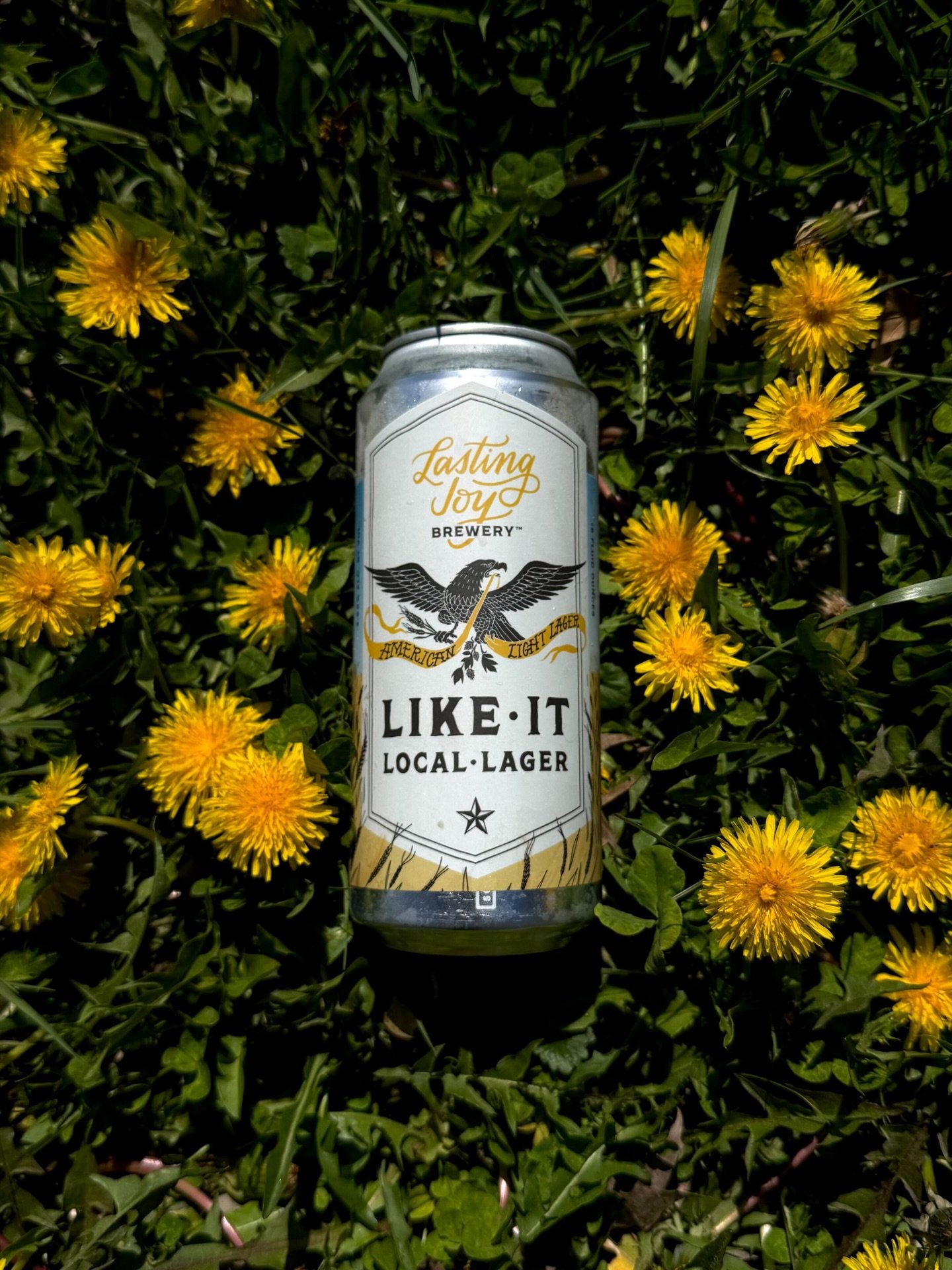 Hi from the perfect lawnmower beer 👋🏻🌻🌾🇺🇸 Back in 4 packs and ready to go home with you and into a koozie this weekend. It&rsquo;s yard work season and Like it Local is ready to serve 🫡
