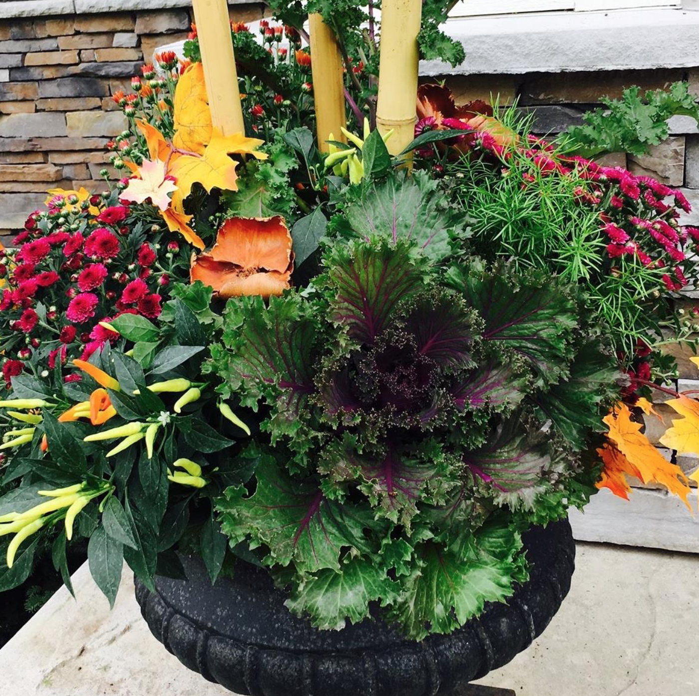 Screen Shot 2018-04-15 at 10.37.19 AM.png