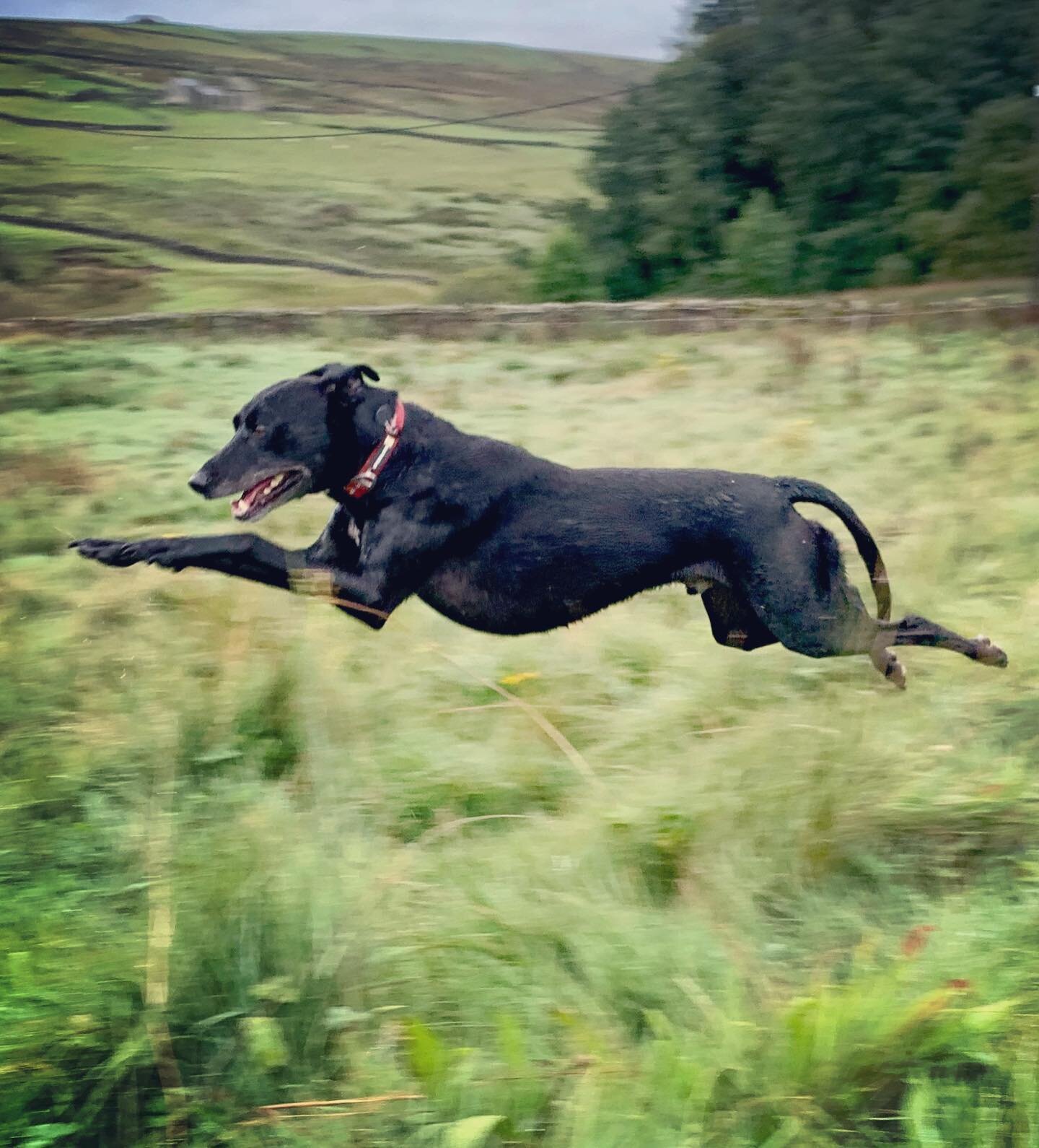 Will in full flight mode 🥰