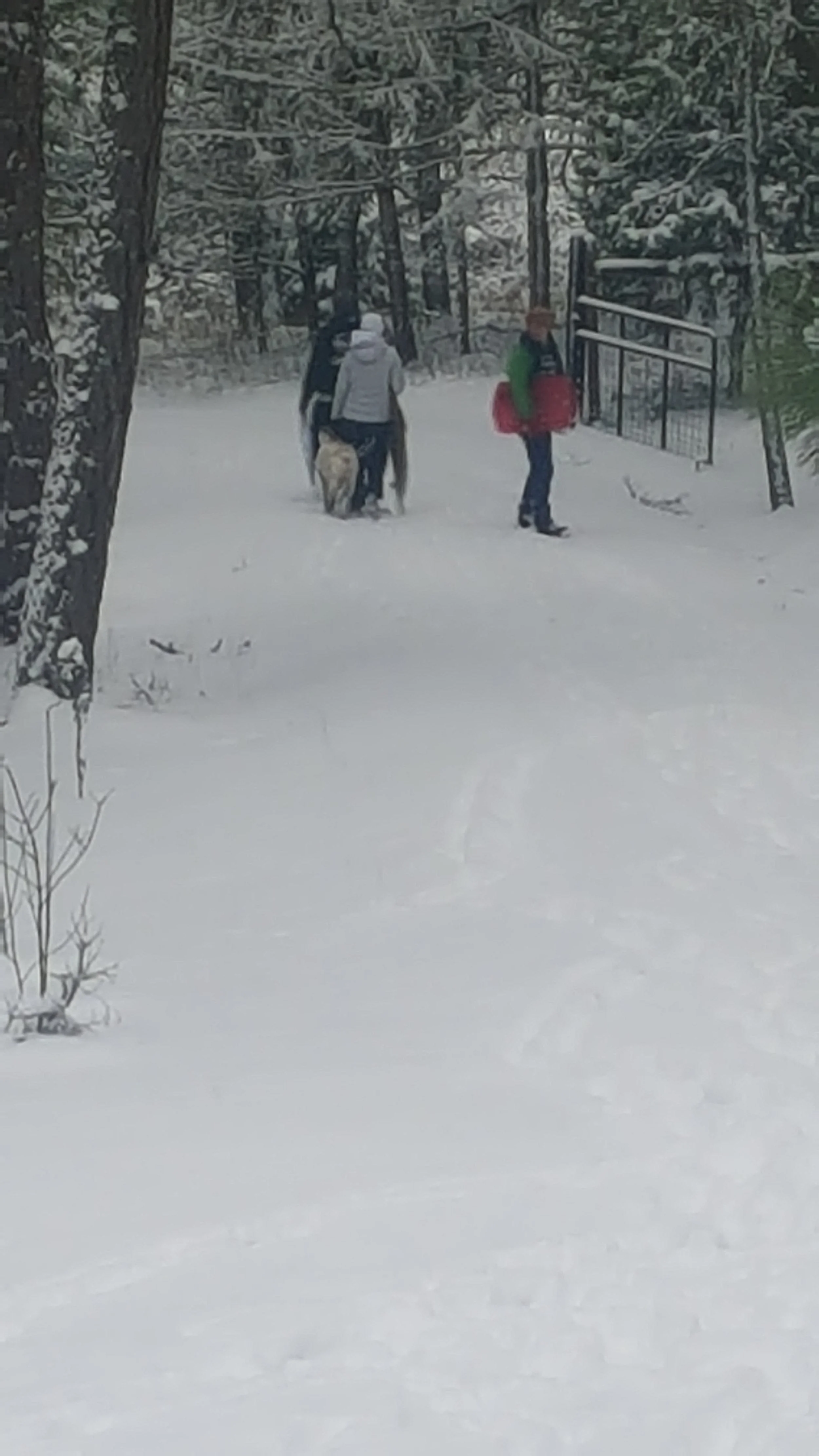 20170104_134232.jpg