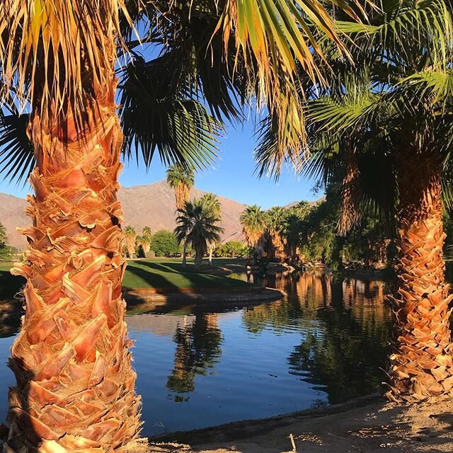 What makes the desert 🌵 beautiful is that somewhere it hides a well #lepetitprince #antoinedesaintexupery #oasis #desertlove #reflection #nourishment #retreat