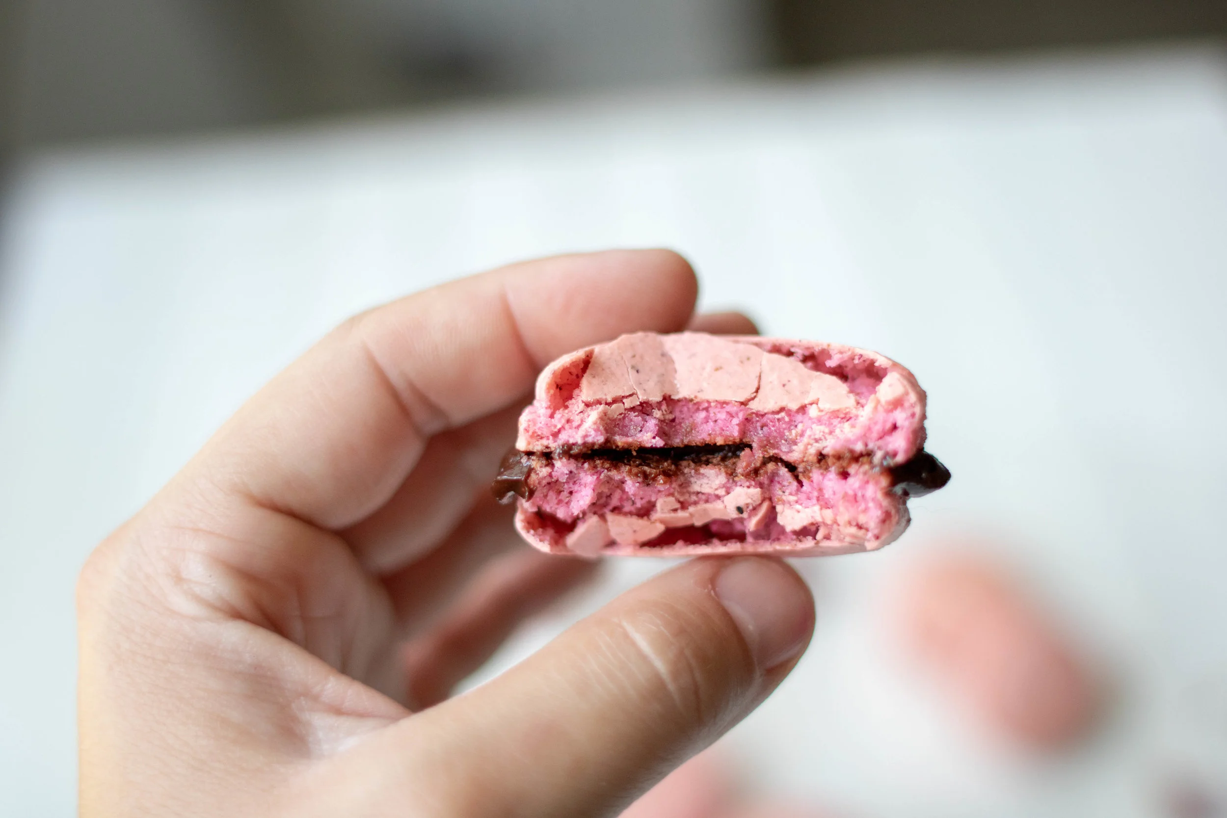 rosemacaron4.jpg