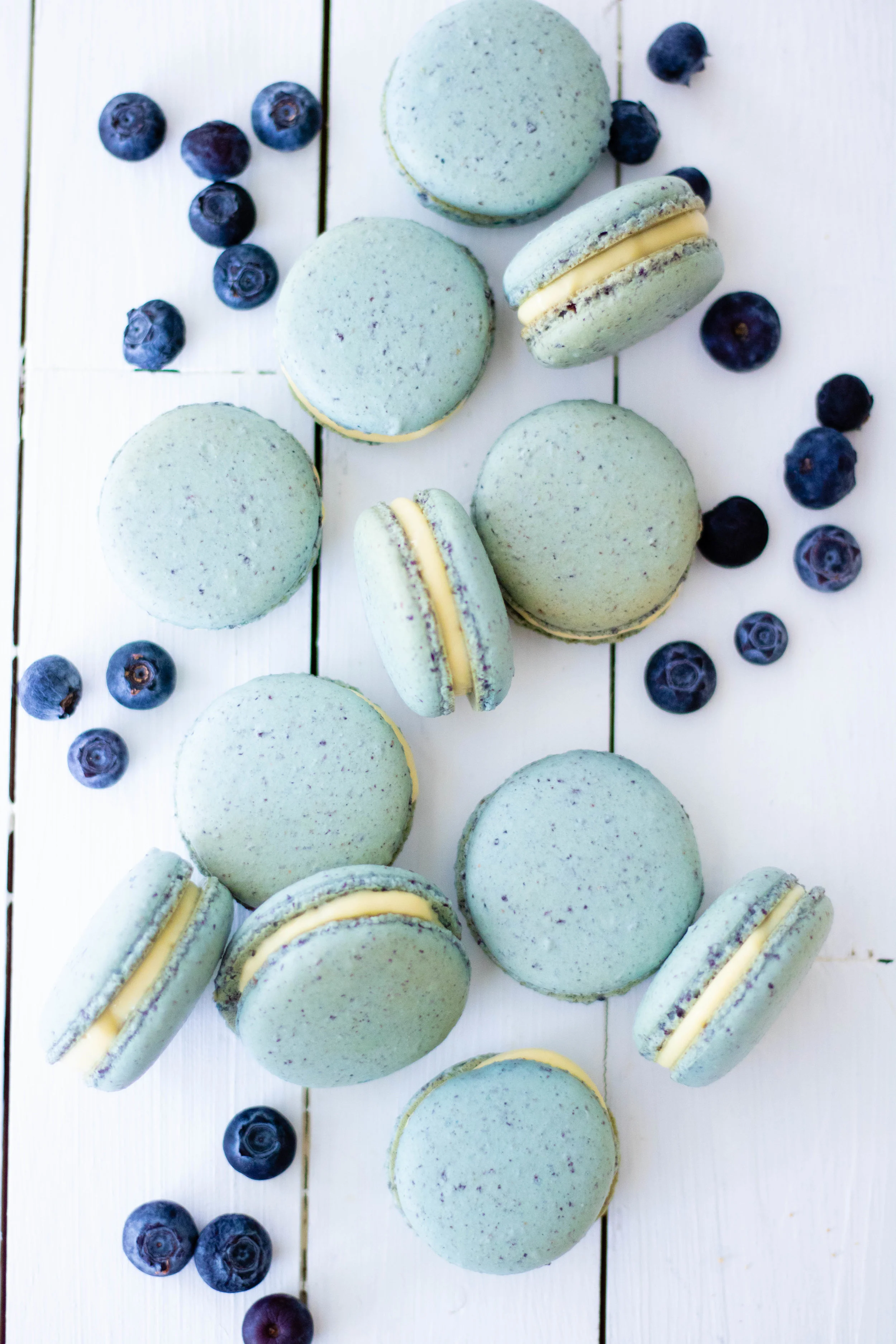 blueberrymacaron.jpg