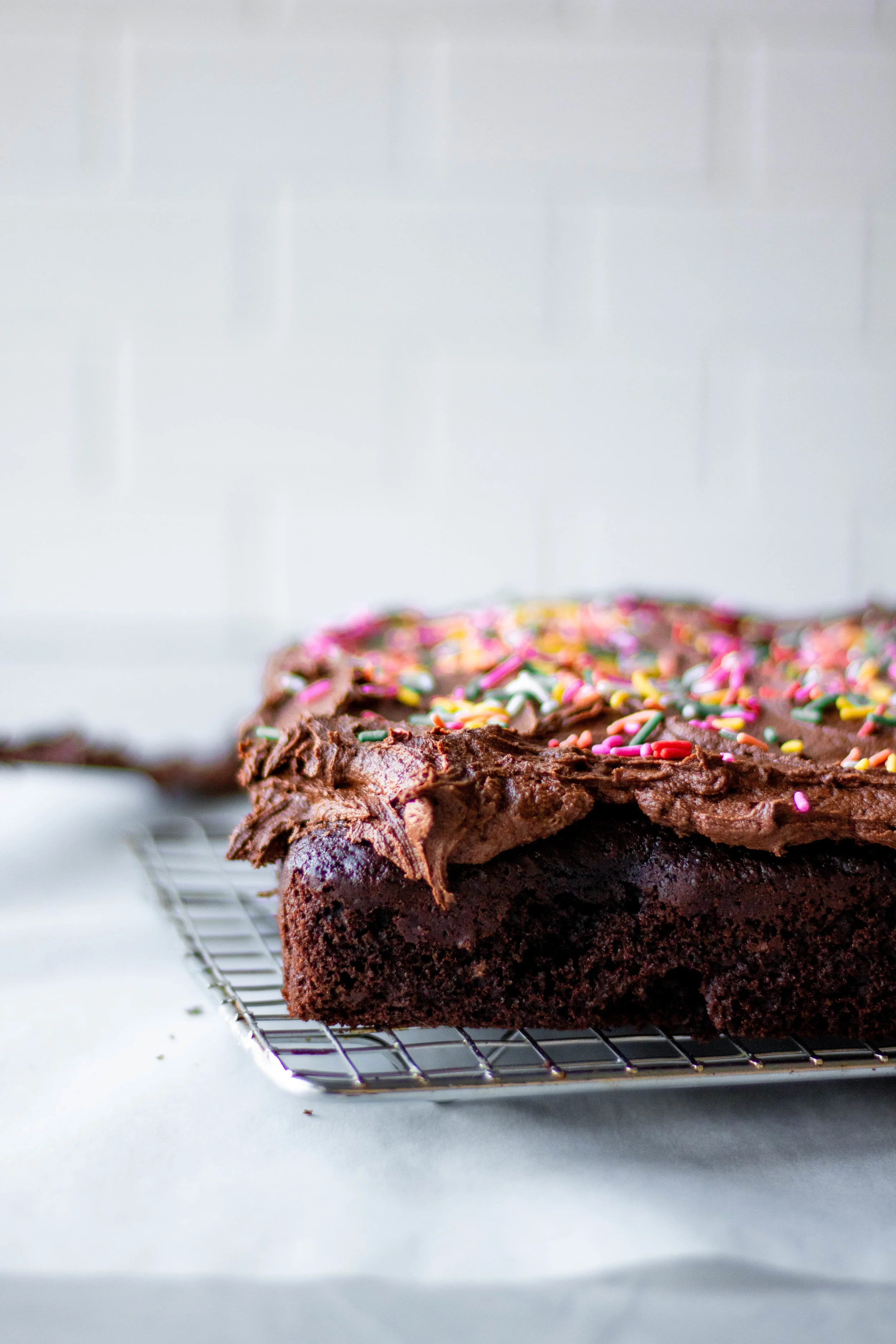 chocolate snack cake3.jpg