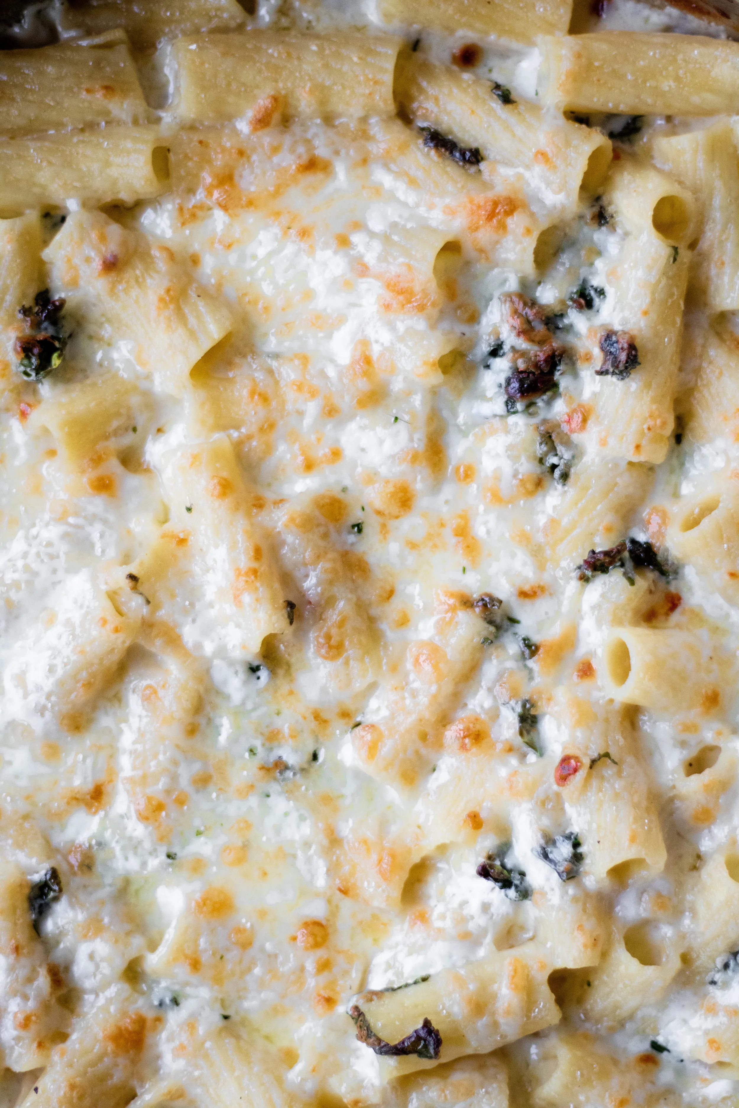 four cheese rigatoni2.jpg