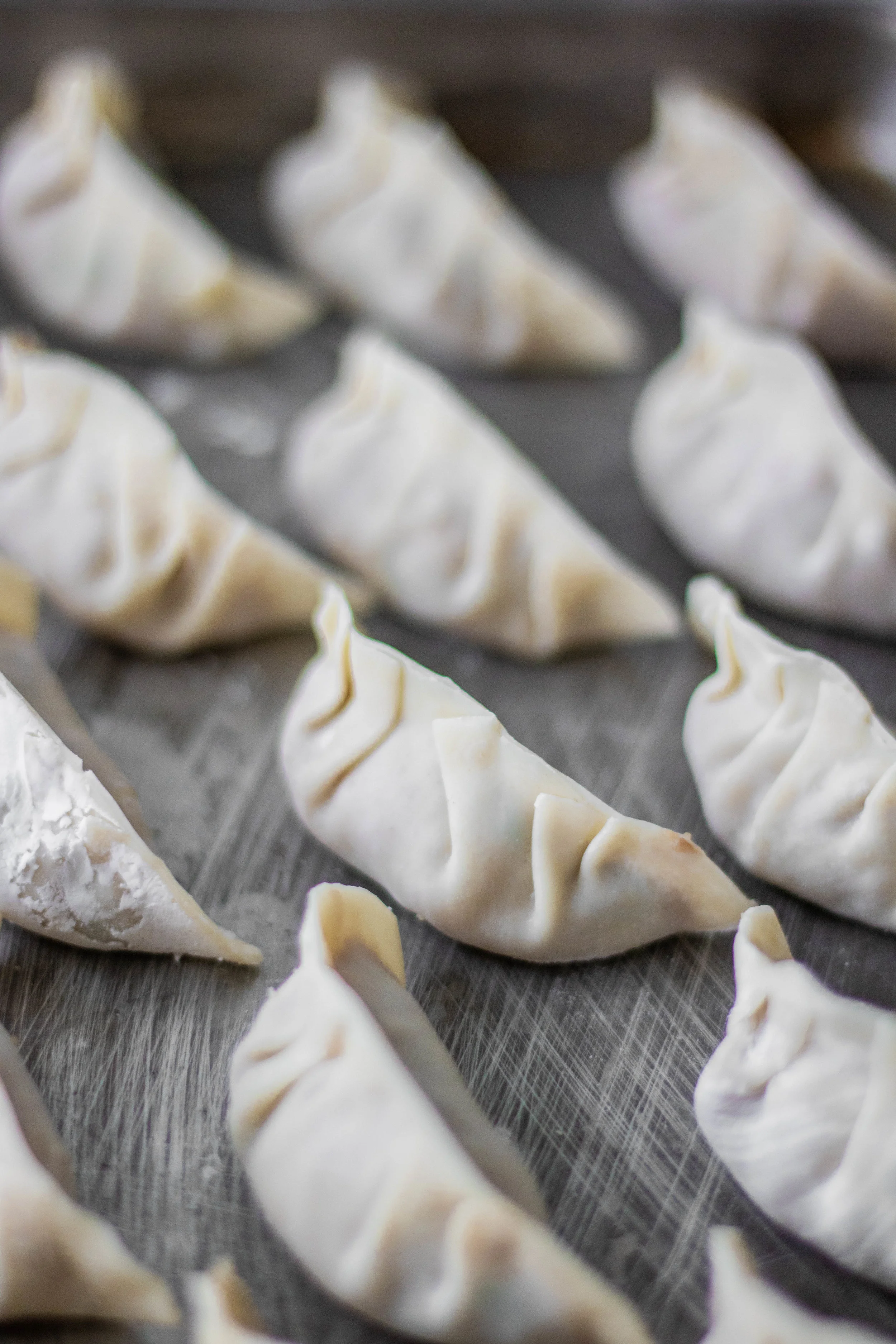 pork cabbage dumplings3.jpg