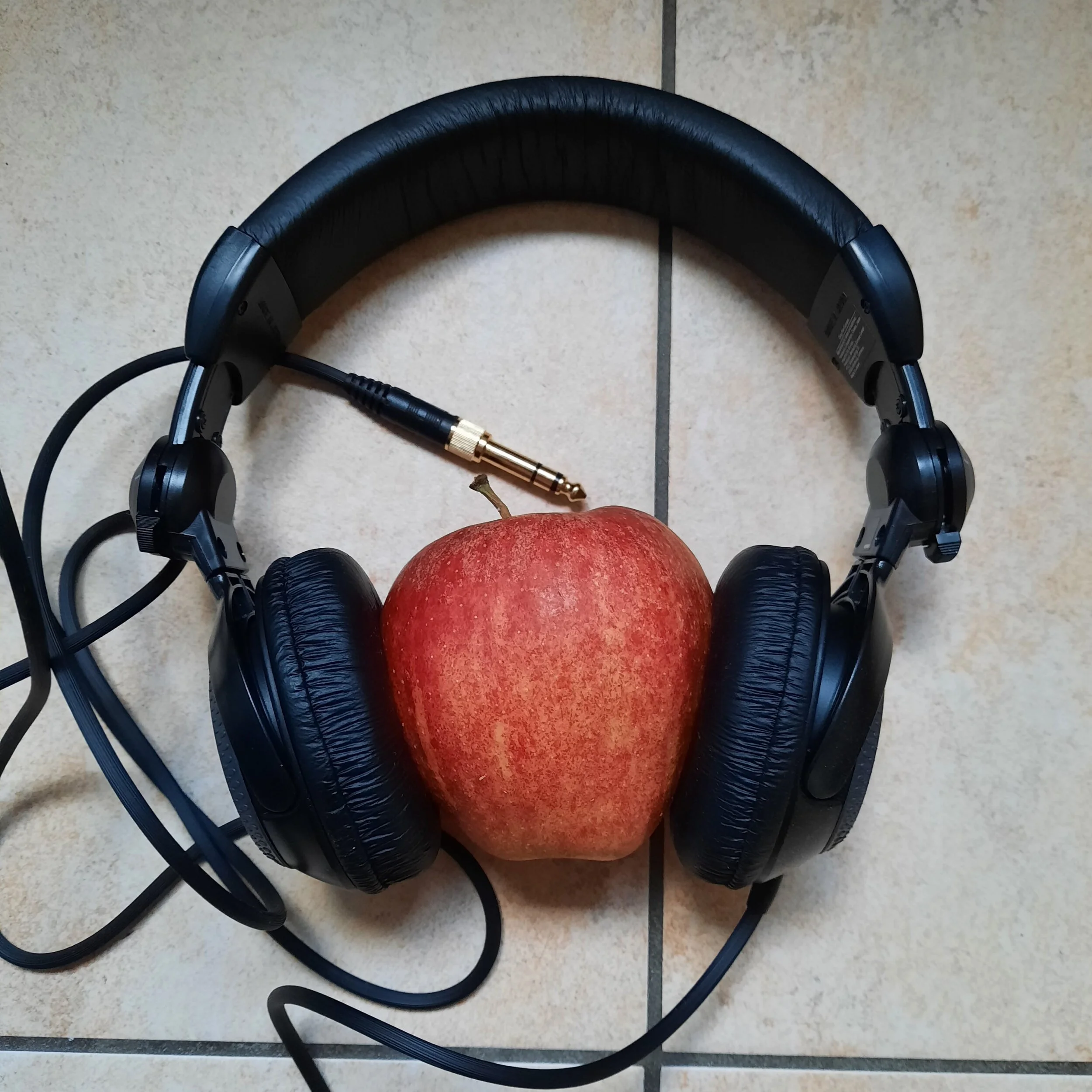 Album Review: Fetch The Bolt Cutters by Fiona Apple