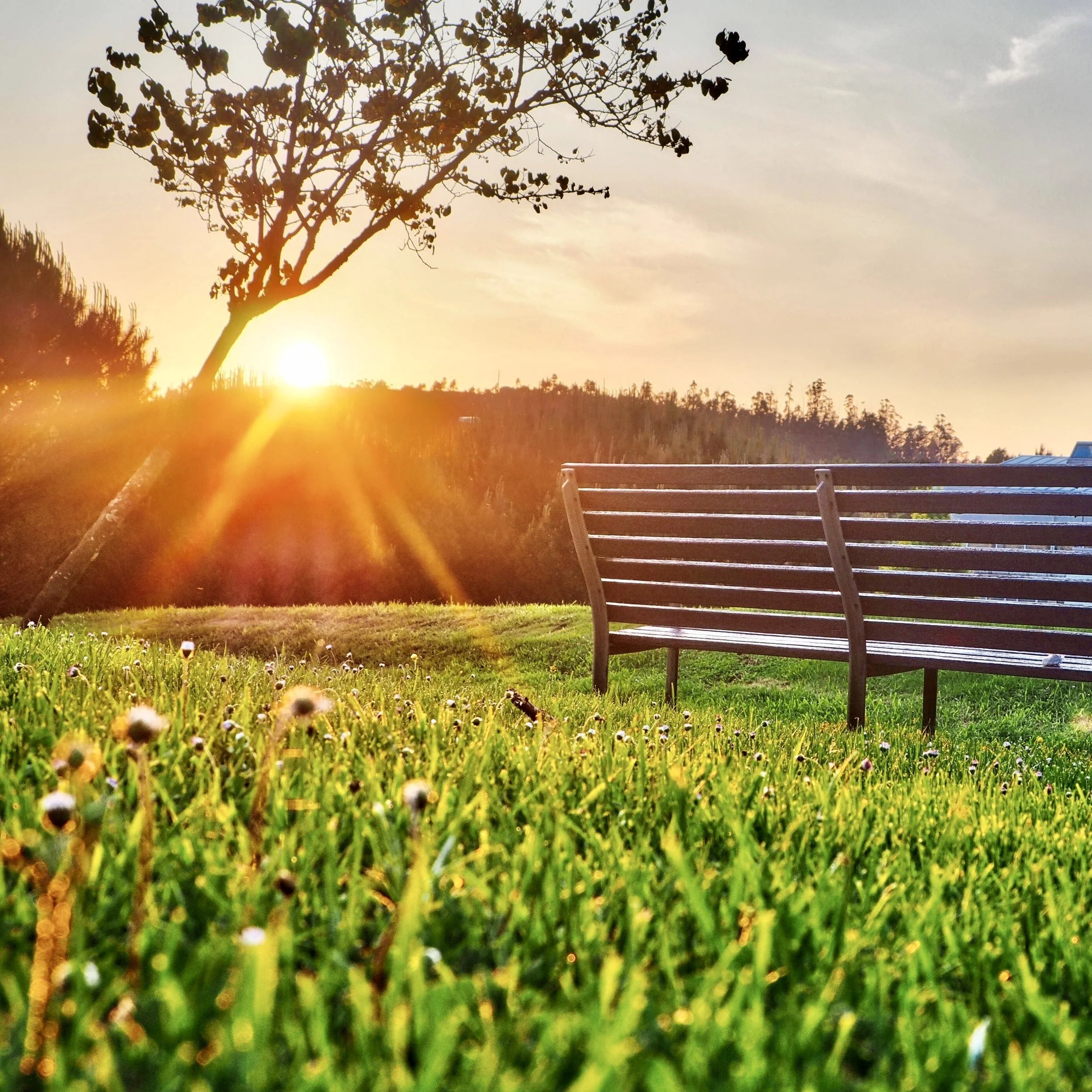 Flash Fiction: Sleepwalker