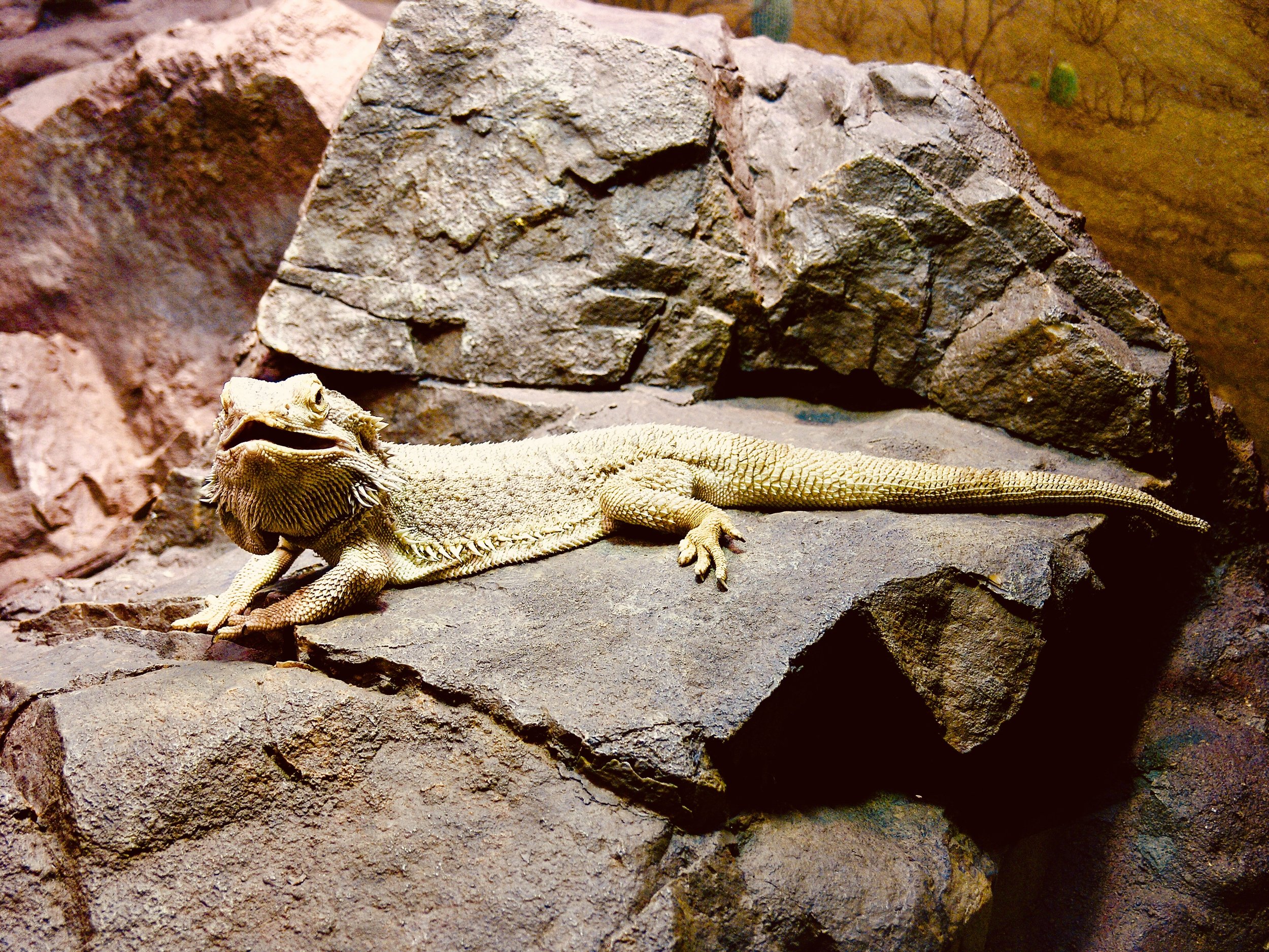 Flash Fiction: Trashberg