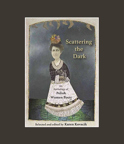 Chippewa_Valley_Book_Festival_Scattering_the_Dark.jpg