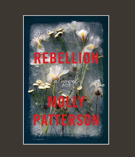 Chippewa_Valley_Book_Festival_Rebellion.jpg