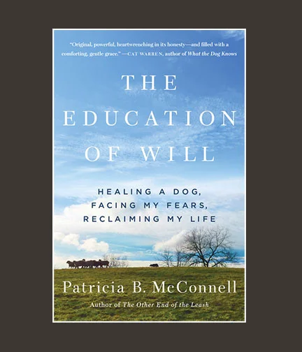 Chippewa_Valley_Book_Festival_Education_of_Will_Paperback.jpg