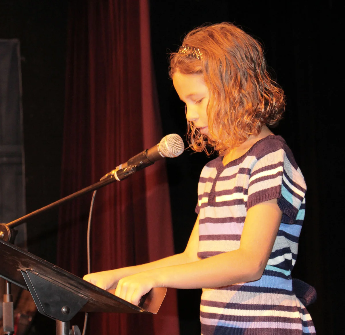 Chippewa_Valley_Book_Festival_2018_Showcase3.jpg