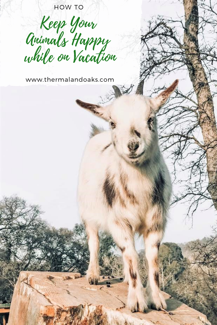 Copy of Copy of Copy of The 6 benefits of raising goats.png