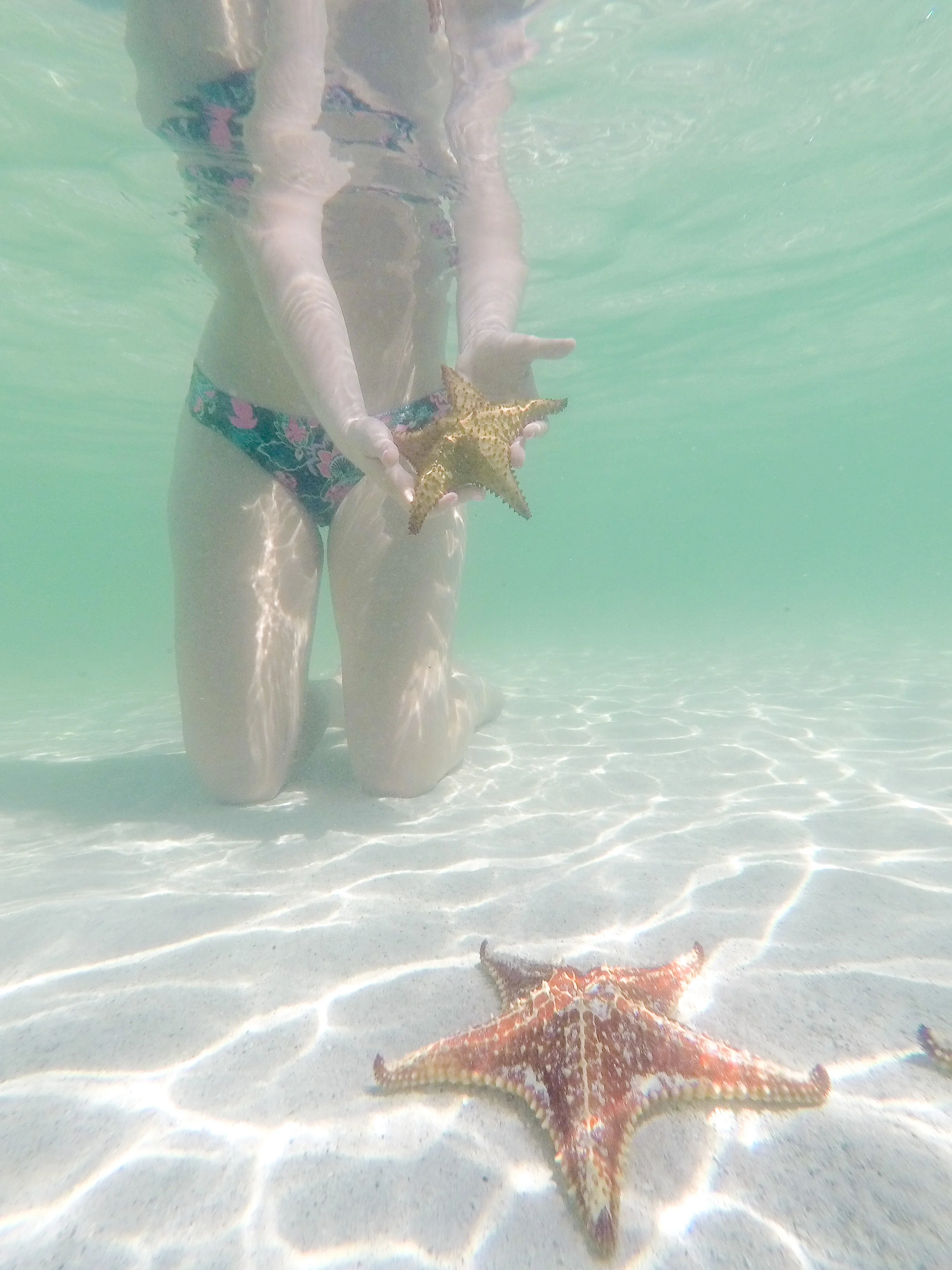 One of my favorite beaches Star Fish Point