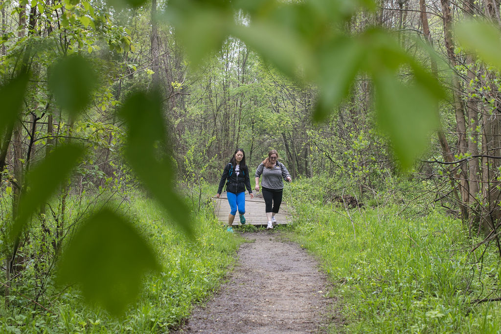 wandering-roots-yoga-travel-retreat-michigan-grand-rapids