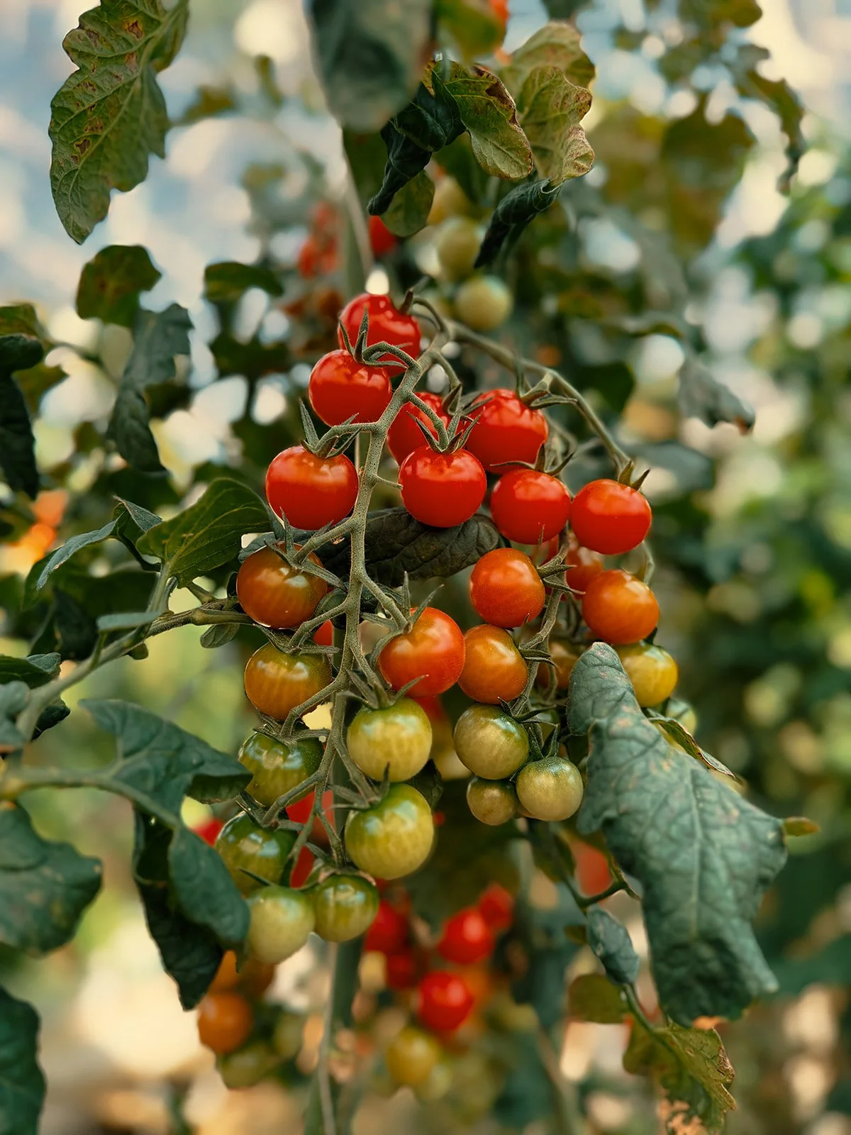 In the process (and something new coming)