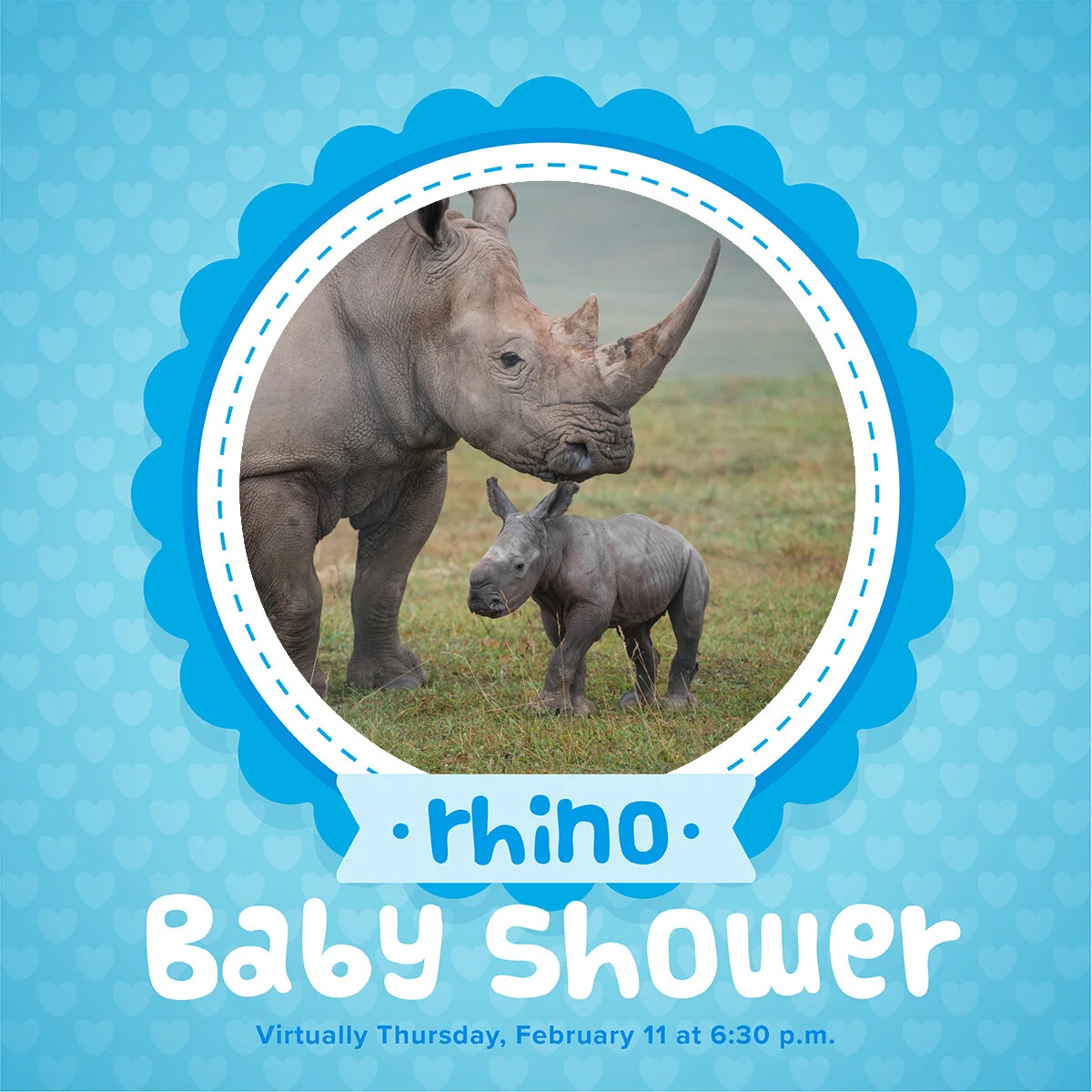 rhino-baby-shower-2021_TEST.jpg
