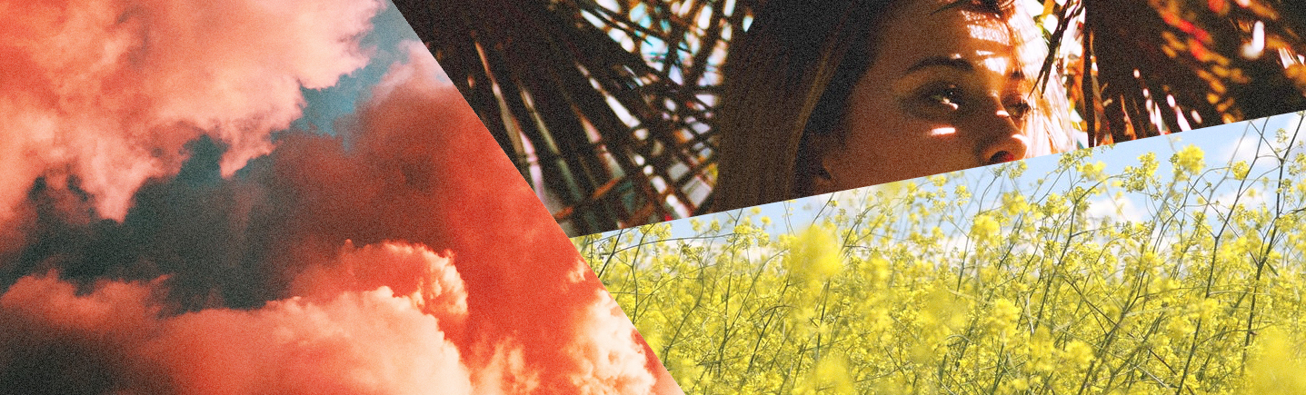 SBC_WebHeader_1.jpg
