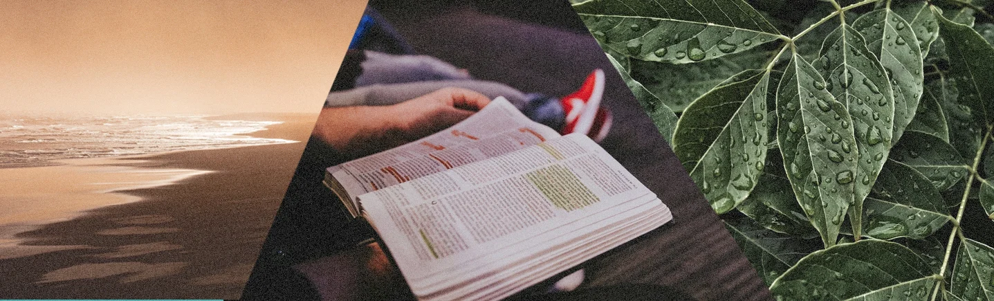 SBC_WebHeader_3.jpg