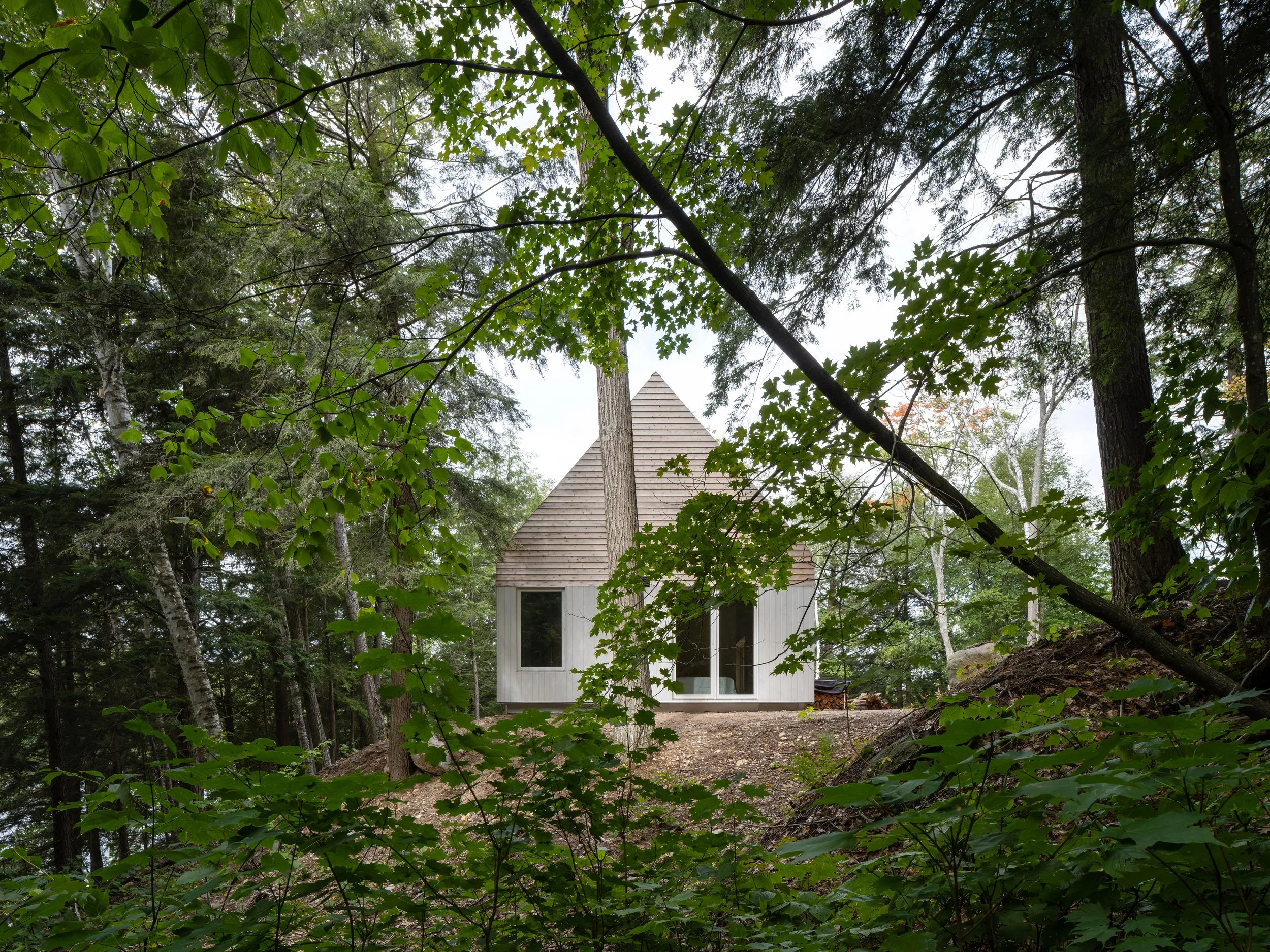 WW_DogTrot_004_SM.jpeg