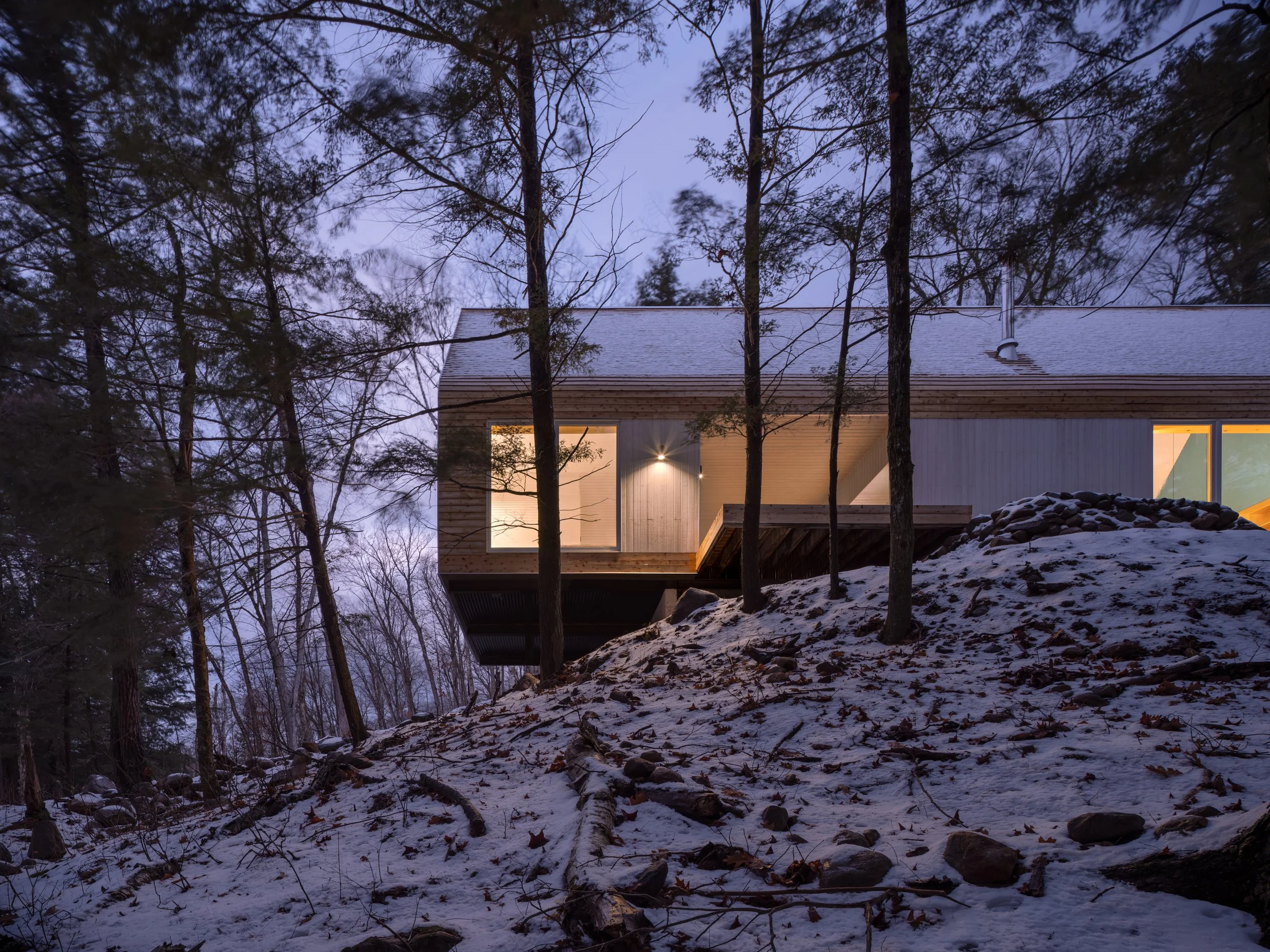 WW_DogTrot_009.jpeg