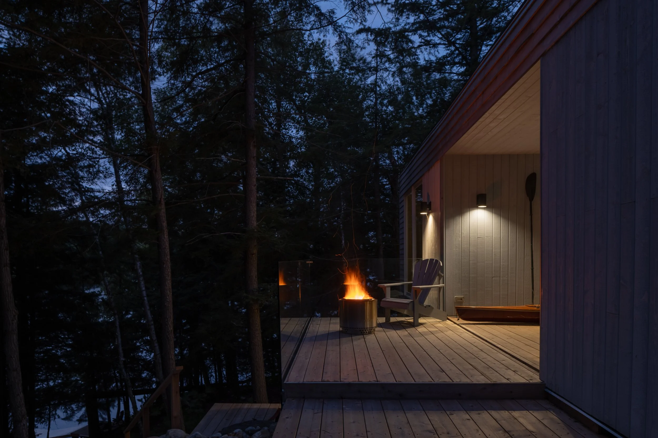 WW_DogTrot_008.jpeg