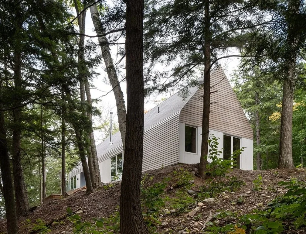 WW_DogTrot_003 web.jpg