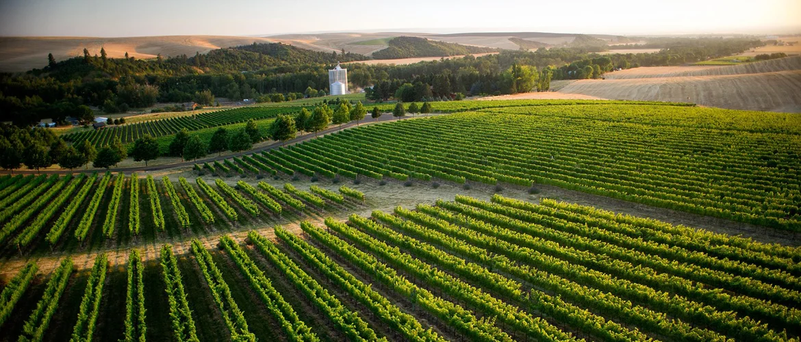 Wash-Wine.Slide_.2000x400.jpg