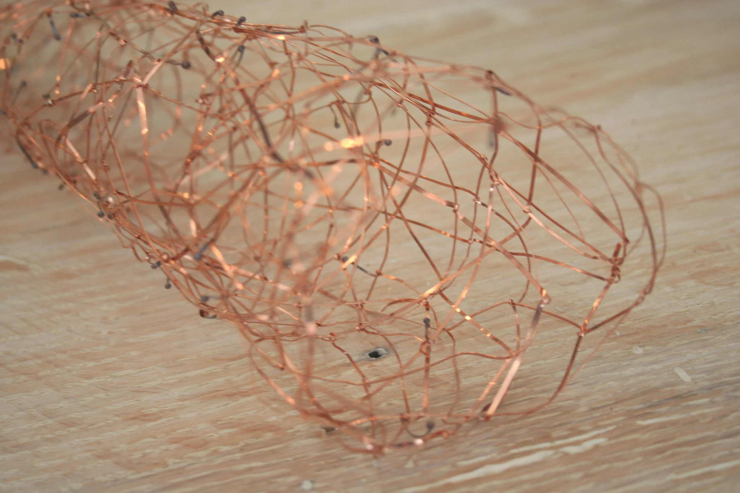 Dina Varano, Copper Nest