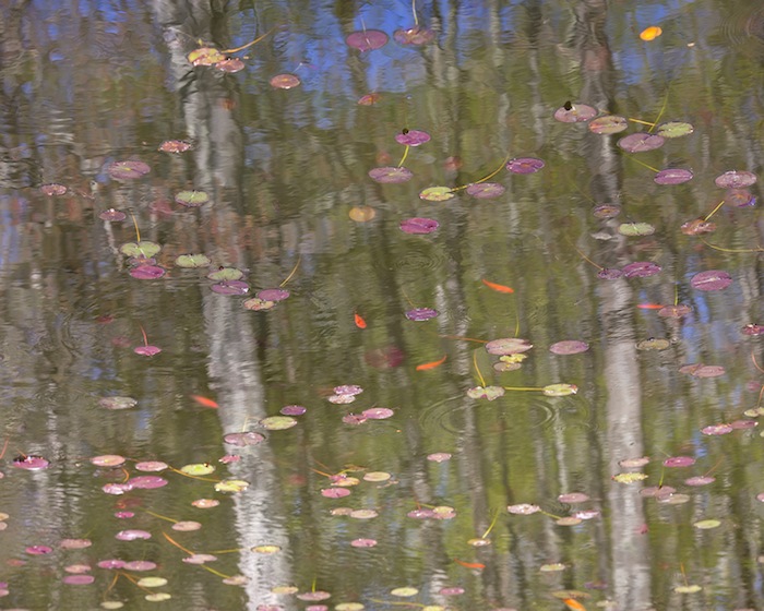 KATE CORDSEN, RAVINE 15